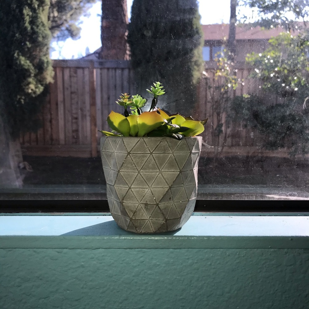 Medium faux Succulents grey Geometric Cement Pot